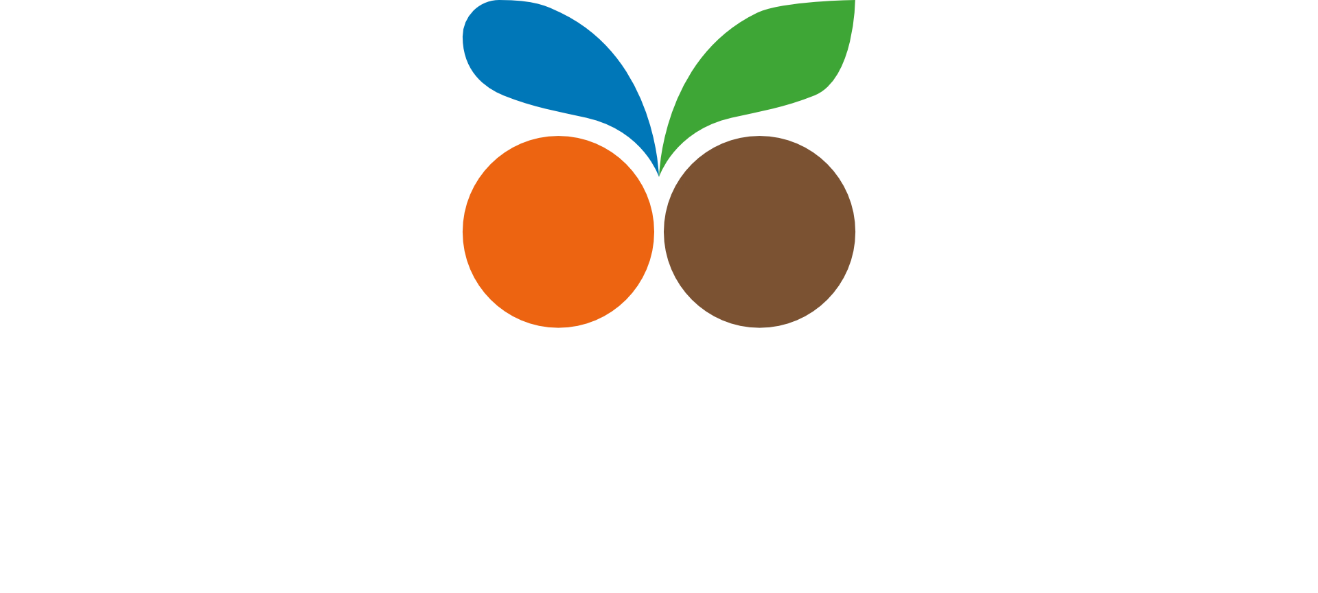 Saviya Forge